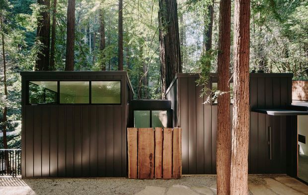 A compact modern dark-clad structure nestled among tall redwood trees. The facade combines vertically ribbed dark panels, clerestory-style horizontal glazing, a central timber gate or screen, and a partially visible outdoor deck or walkway with metal railing. The forest setting is a dominant feature.