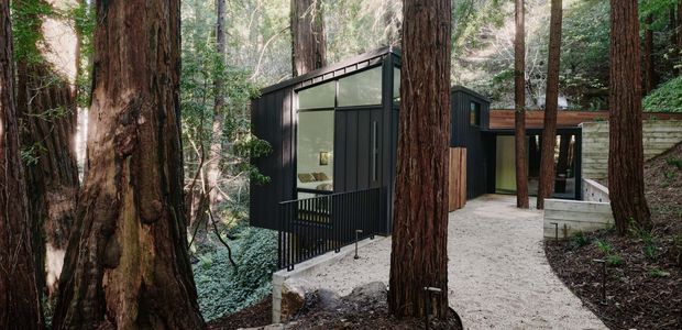 A compact modern black-clad building set among tall redwood trees in a wooded setting. The structure features large dark-framed glazed openings, vertical metal cladding, a low-slope roof, and a black metal-railed path or deck leading to the entrance. A pale concrete retaining wall and gravel walkway contrast with the dark facade and forest surroundings.