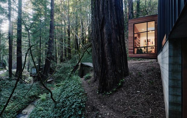 Exterior view of a contemporary, dark-clad building nestled among dense tall forest trees on a sloped, wooded site. A large warm-lit grid window reveals a refined interior, while a pale block or concrete wall and dark vertical cladding define the facade. The setting feels secluded and integrated into the natural landscape.
