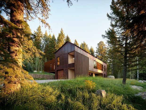 A contemporary two-storey house set within a wooded, landscaped site. The building has a strong angular pitched roof, dark brown vertically ribbed cladding, large glazed openings, and recessed balconies or covered outdoor spaces. Tall trees, meadow grasses, rocks, and warm late-day light surround the house.