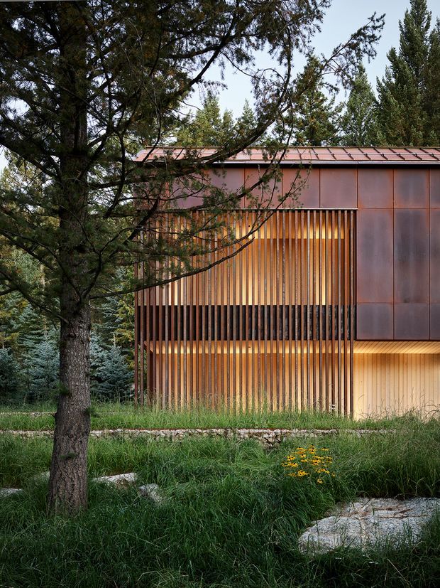 Exterior view of a contemporary building nestled among mature trees and natural landscaping. The facade combines warm rust-brown metal cladding with extensive vertical timber battens screening a warmly lit glazed or recessed area. A low-pitched metal roof, stone edging, grasses, and woodland vegetation create an integrated landscape setting.