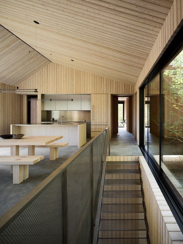 A contemporary open-plan interior centred on a timber-lined kitchen and dining area, with a pitched timber ceiling, pale vertical wall panelling, polished concrete flooring, and a long black-framed glazed wall. A mesh balustrade borders stairs descending to a lower level, while a corridor leads toward a doorway at the rear. The space combines warm natural timber with dark metal detailing and abundant daylight.