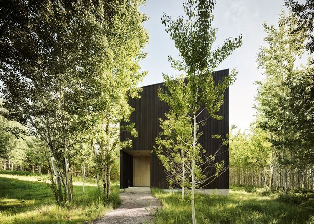A compact, minimalist dark-clad building set within a wooded landscape. The simple rectangular form has a tall, slightly pitched roofline, vertical dark timber-like cladding, and a recessed timber-toned entry at ground level. A gravel path leads through long grass and slender trees toward the entrance, with extensive surrounding woodland and filtered daylight creating a quiet natural setting.