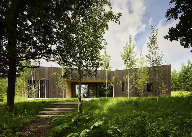 A low, contemporary residential building set within a lush wooded landscape. The facade is formed by dark vertical timber-like cladding, with extensive floor-to-ceiling glazing and a recessed entry reached by broad stone steps. Mature trees, slender deciduous plantings, and long meadow grass surround the structure, creating an integrated forest setting.