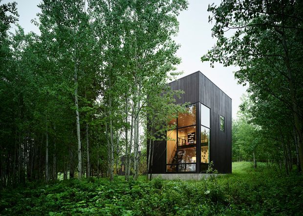 A compact contemporary cabin-like house set within dense woodland. The building has a steep gabled roof, dark vertical timber cladding, and a prominent floor-to-ceiling glazed facade revealing a warm-toned interior. Trees and undergrowth surround the structure on all sides.