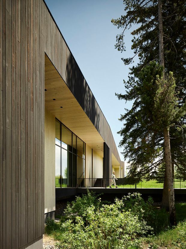 Exterior view of a long, low contemporary building set among mature trees and landscaped planting. The facade combines vertically oriented dark timber cladding with pale timber soffits and recessed floor-to-ceiling glazing. A covered outdoor walkway or terrace runs along the building, with a simple projecting roof and slim dark balustrade. The composition highlights the building's linear form, timber construction, and relationship to its wooded setting.