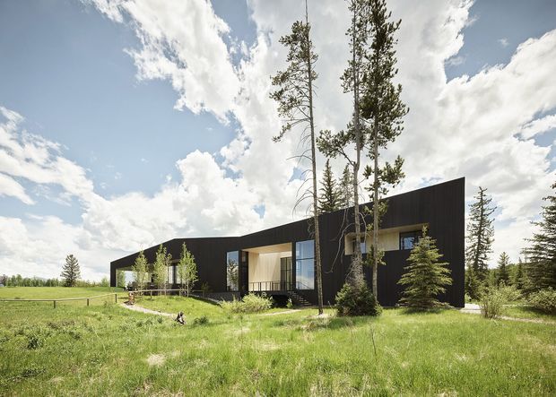 A contemporary single-storey residence set in an expansive rural or meadow landscape. The building has a long, low-slung composition with a dramatic dark vertical-clad facade, deep recessed openings, and large glazed sections revealing warm timber-toned interior surfaces. Tall slender trees frame the house, while the open grassland and bright sky create a strong connection to the surrounding natural setting.