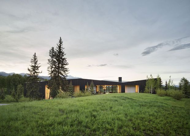 A low, single-storey contemporary house set in a broad grassy clearing, surrounded by tall evergreen trees with distant mountains visible behind it. The dark linear facade has extensive floor-to-ceiling glazing, warm timber-clad entry and wall sections, and a restrained flat-roof form. The scene is photographed in soft, overcast daylight and has a quiet alpine or forest setting.