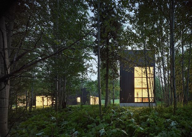 A dark, modern multi-volume building is viewed through dense woodland. Slender trees and lush undergrowth frame charcoal vertical cladding, with warm yellow light glowing through tall floor-to-ceiling windows and highlighting the building's rectilinear form.