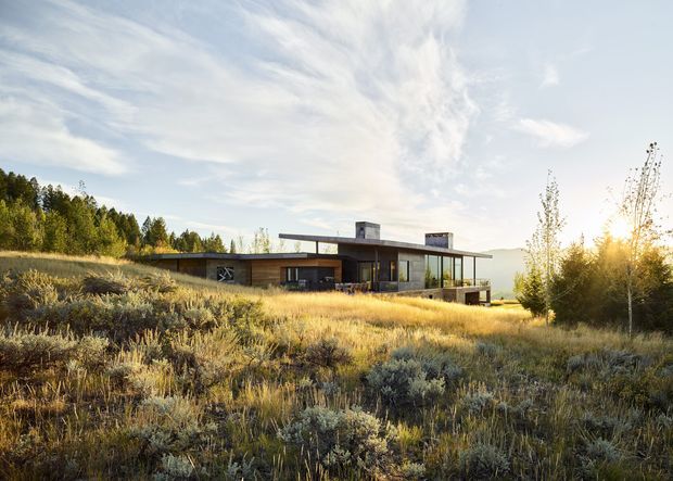 A low, single-storey contemporary house set within an expansive natural meadow landscape. The building has a broad flat roof with projecting eaves, dark horizontal cladding, extensive floor-to-ceiling glazing, and a partially elevated deck or terrace. Warm late-day sunlight illuminates the dry grasses and shrubs, with a wooded hillside behind the house.