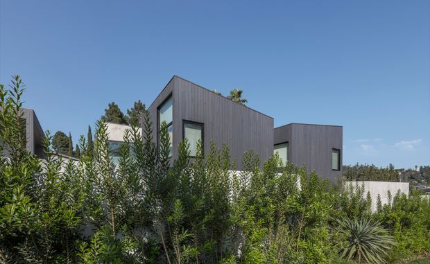 Exterior view of a contemporary multi-volume residence partially screened by dense landscaping. The building features dark vertical cladding, crisp rectangular forms, flat rooflines, and large dark-framed windows, with a pale rendered or masonry wall in the foreground and a clear blue sky behind.