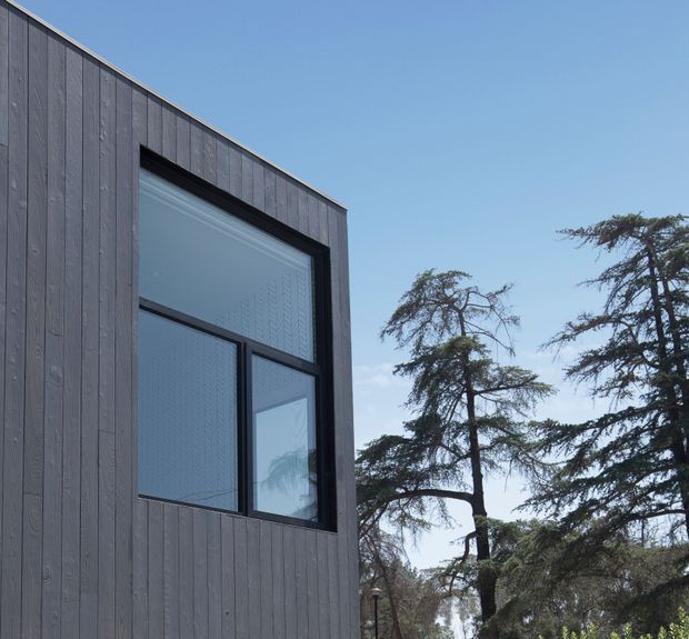 Close-up exterior view of a modern, box-like building facade clad in vertically arranged dark charcoal timber boards. A large black-framed window assembly punctuates the facade, with reflective glazing and a tall upper pane. Mature evergreen trees and clear blue sky form the background.