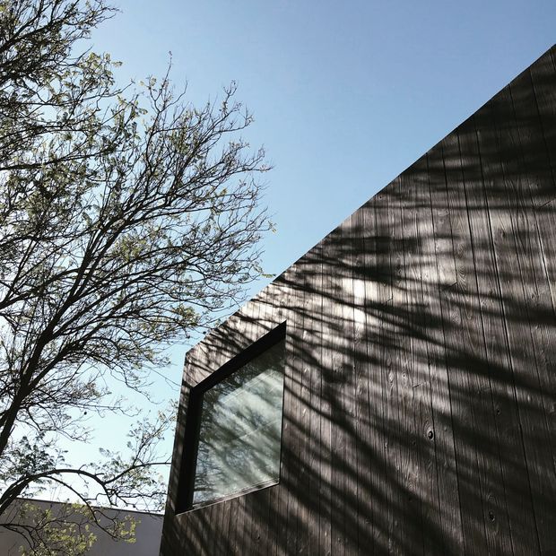 Close-up exterior view of a minimalist, single-storey building with a crisp flat roofline and dark vertically textured cladding. A projecting corner window reflects surrounding trees, while strong branch shadows fall across the facade. The composition is architectural and abstract, set against a clear blue sky and mature vegetation.