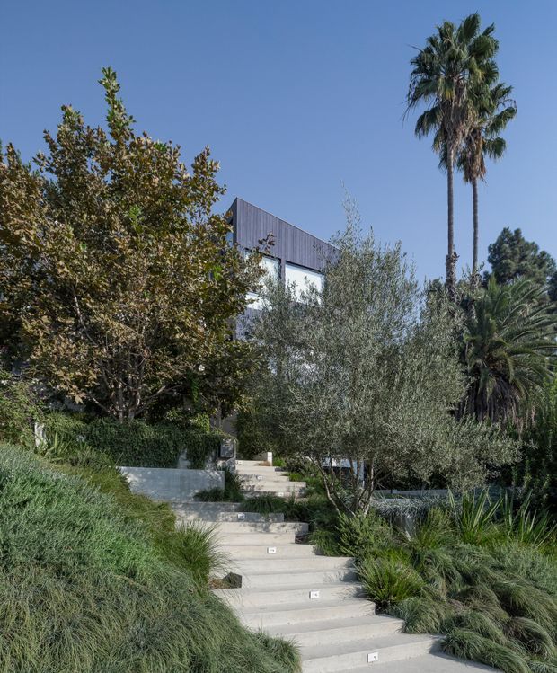 Exterior view of a contemporary residence partially concealed by mature landscaping, with a broad concrete stairway ascending through ornamental grasses, olive-like trees, palms, and dense greenery toward a dark-clad upper facade with large windows. Clear blue sky and Mediterranean-style planting create a sunny, garden-integrated setting.