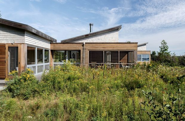 A low-rise contemporary residential building arranged as connected pavilion-like volumes, viewed from a wild planted garden. The exterior combines horizontal timber cladding, broad glazed openings, and shallow asymmetrical sloping roofs with exposed metal chimney elements. Dense naturalistic vegetation fills the foreground, while the bright sky and open setting give the scene an airy, sustainable architectural character.