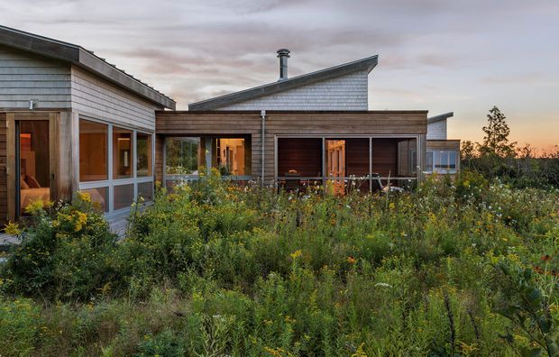 Exterior view of a low-rise contemporary home set within dense naturalistic planting. The building combines weathered timber-clad walls, pale horizontal shingle-like cladding on angular pitched roof forms, extensive glazing, and a covered timber terrace. Warm interior light is visible through the windows, while the surrounding meadow landscape dominates the foreground.