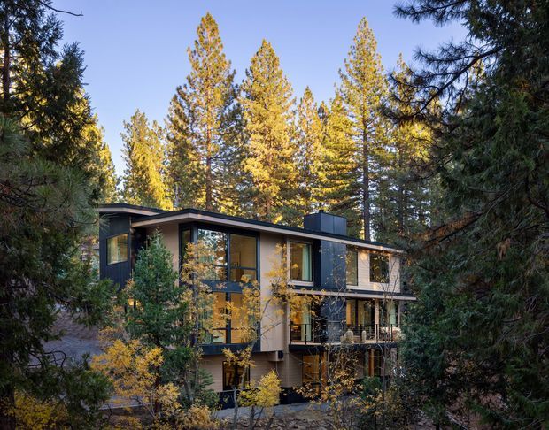 A modern multi-level residence nestled among tall pine trees, photographed from the surrounding forest. The home has a dark, low-pitched flat roof, expansive glazing, warm timber-toned wall surfaces, and a projecting upper-level terrace or balcony with metal railings. Dense woodland frames the building on all sides.