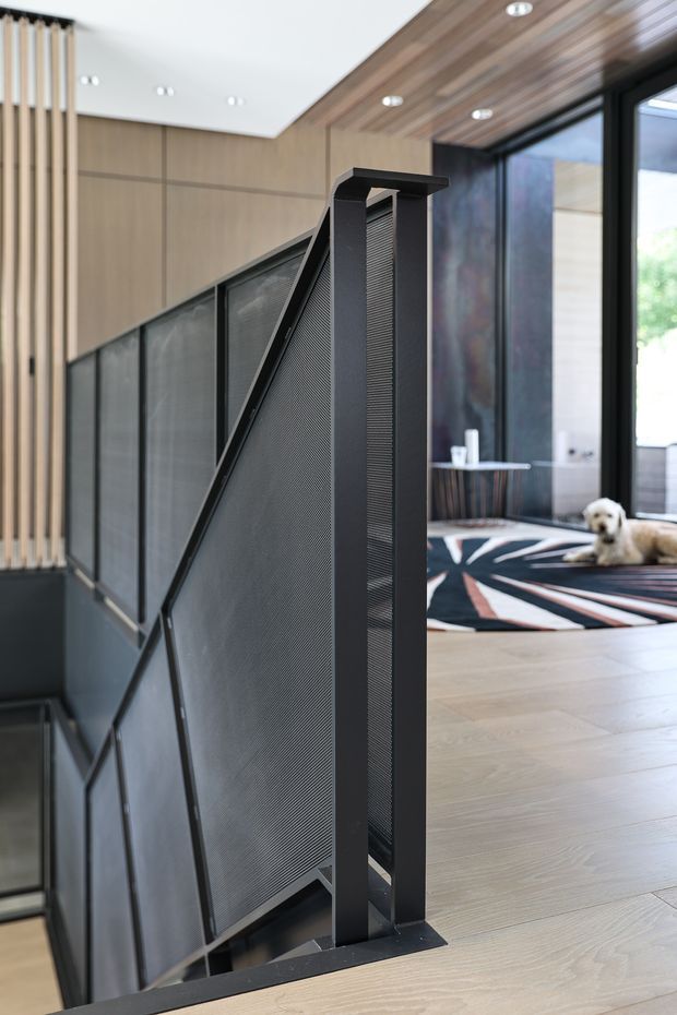Interior architectural detail showing a contemporary stairway with a black metal framed mesh balustrade and handrail. The stair enclosure is paired with warm light timber wall and ceiling panelling, recessed downlights, pale timber flooring, and large black-framed glazing. A living area with a graphic rug and a dog is visible beyond the stair, but the stair structure dominates the image.