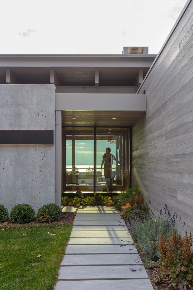A modern residential entry courtyard viewed from outside, with a narrow concrete-paver walkway leading to a glazed entry. The facade combines smooth exposed concrete, horizontal grey timber cladding, dark metal-framed glazing, and a projecting flat-roof canopy with recessed lighting. Low manicured planting borders the path, and the glazing reveals a bright interior and distant ocean or sky beyond.