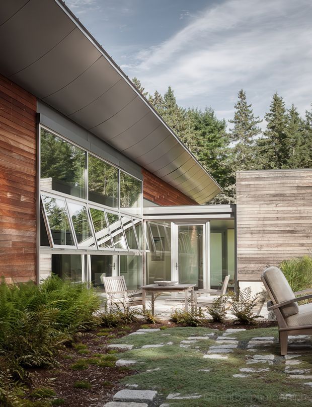 A modern residential courtyard viewed from the landscaped garden, featuring warm horizontal timber-clad walls, extensive aluminium-framed glazing, a low sweeping roof with curved soffit panels, and a covered outdoor dining area. Stone stepping slabs pass through planted groundcover and ferns, while mature evergreen trees form a natural backdrop. A weathered timber privacy wall encloses one side of the courtyard.