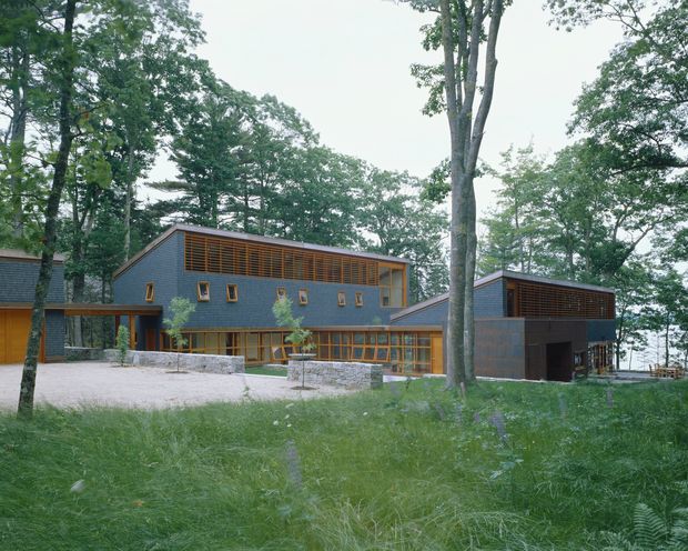 Exterior view of a contemporary multi-building residence set within a wooded landscape. The complex uses dark grey-blue cladding, warm timber louvres and window framing, low-slope pitched roofs, and extensive glazing. A covered connection links the main volumes, with a gravel forecourt and mature trees surrounding the property.