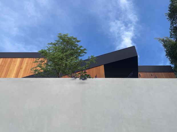 Low-angle exterior view of a contemporary building partially concealed behind a smooth pale rendered boundary wall. The facade combines warm vertical timber cladding with dark charcoal roof and wall planes, including a sharply angled projecting form. Trees partially screen the building, with blue sky above.