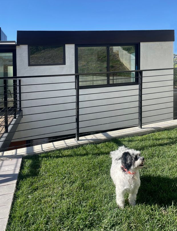 Exterior view of a compact contemporary building with a flat roof, white rendered walls, dark charcoal fascia, and large black-framed windows. A balcony or elevated terrace is enclosed by horizontal dark metal balustrading, with a grassed foreground and a small dog. The building appears set on a sloping site, with a clean geometric facade and strong contrast between light walls and dark framing.