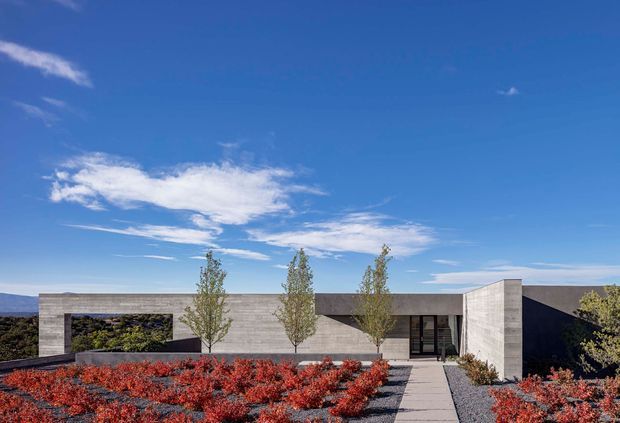 A low, minimalist single-storey concrete residence viewed from the landscaped front garden. Long horizontal concrete walls and flat roof forms frame a recessed glazed entry, with a straight paved path crossing beds of red-toned planting and young ornamental trees beneath a vivid blue sky.