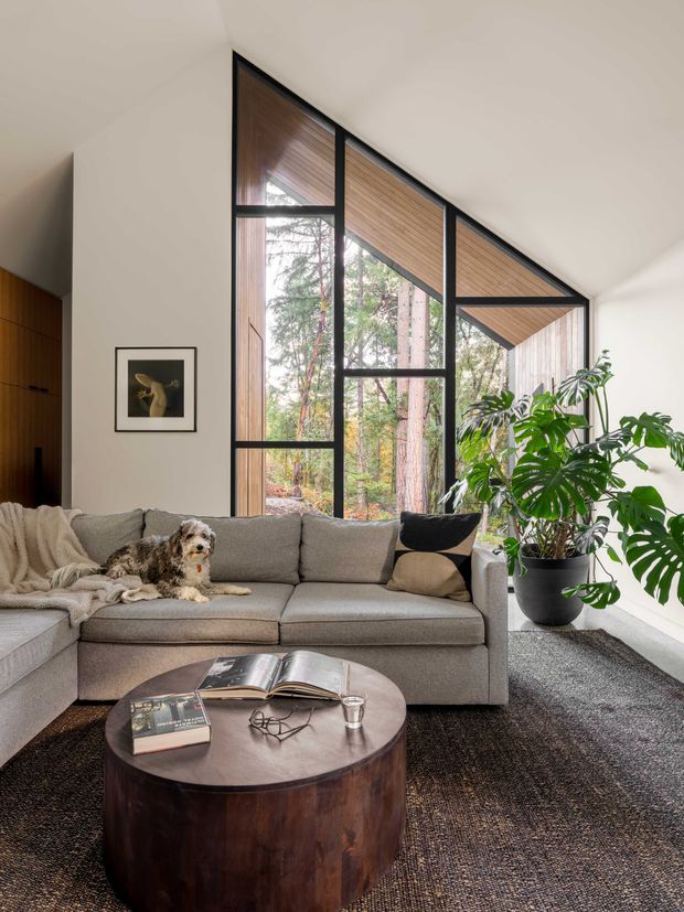 A contemporary living room with a large grey sectional sofa, round dark timber coffee table, textured rug, potted tropical plant, and framed artwork. The room is dominated by dramatic floor-to-ceiling black-framed glazing with angled geometry and a warm timber-lined ceiling/soffit, overlooking a wooded setting. The palette is neutral and earthy, with abundant natural light and strong connection to the outdoors.