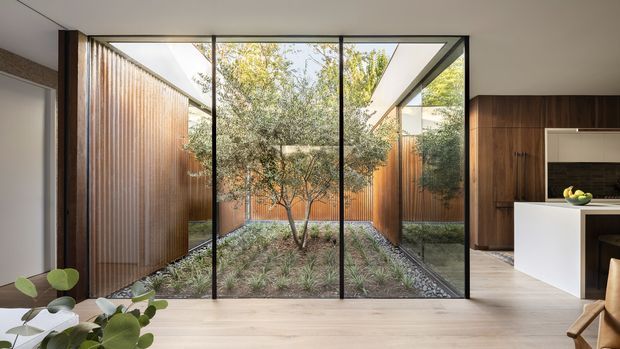 A contemporary open-plan kitchen and living area focused on a landscaped internal courtyard. Full-height black-framed glazing provides views into the courtyard, which is enclosed by vertical timber privacy screens and planted with a small tree and low groundcover. Inside, the space has pale timber flooring, dark timber kitchen cabinetry, a white island, and restrained modern furnishings.