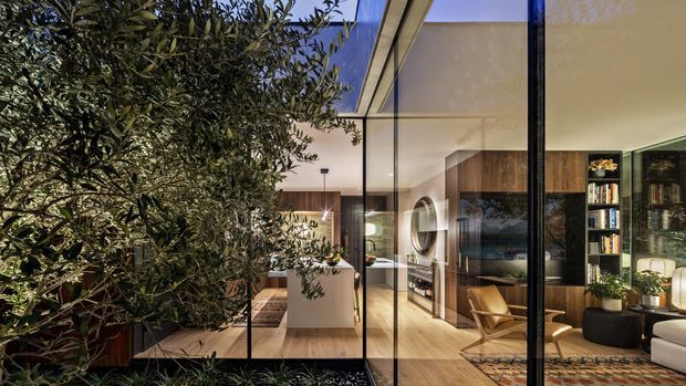A refined contemporary interior viewed through expansive floor-to-ceiling glazing, with a planted courtyard or indoor garden in the foreground. The open living space beyond features warm timber flooring, dark timber built-in shelving, a television, lounge seating, a sculptural pendant, and a compact kitchen or dining area. The strong indoor–outdoor connection, extensive glass framing, and layered greenery create a warm, sophisticated atmosphere.