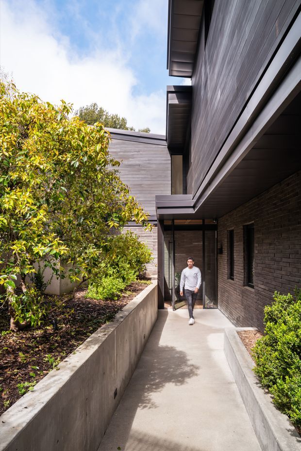 A contemporary residential exterior showing a narrow concrete walkway through a landscaped courtyard. The path is bordered by raised concrete garden beds and planting, with a dark brick wall on one side and horizontal timber-clad upper volumes with projecting eaves above. Glazed entry doors and a person provide scale. The image is bright and naturally lit, emphasizing the layered facade, sheltered circulation path, and courtyard landscaping.