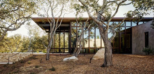 Exterior view of a low-profile contemporary house set within a wooded landscape. The building features extensive floor-to-ceiling glazing with dark slender frames, a broad shallow roof overhang, and a textured dark wall volume. A stone retaining wall and steps lead through the landscaped foreground, while mature trees are integrated closely around the structure.