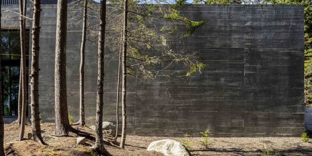 Exterior view of a dark, horizontally textured timber-clad wall set among mature trees, with a narrow glazed opening at the left and natural rocky ground in the foreground. The building has a restrained, contemporary woodland character.