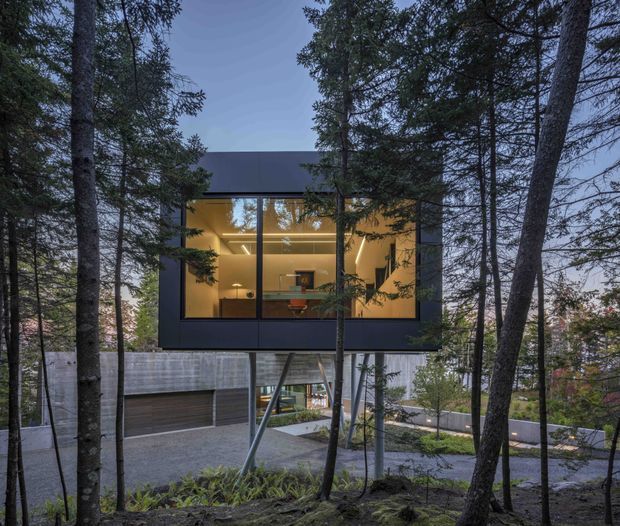 Twilight exterior view of a contemporary elevated house set among mature trees. The dark-clad upper volume features a large floor-to-ceiling glazed living space glowing with warm interior light, while a concrete lower level and driveway are partially visible below. The building appears integrated into a wooded, sloping site.