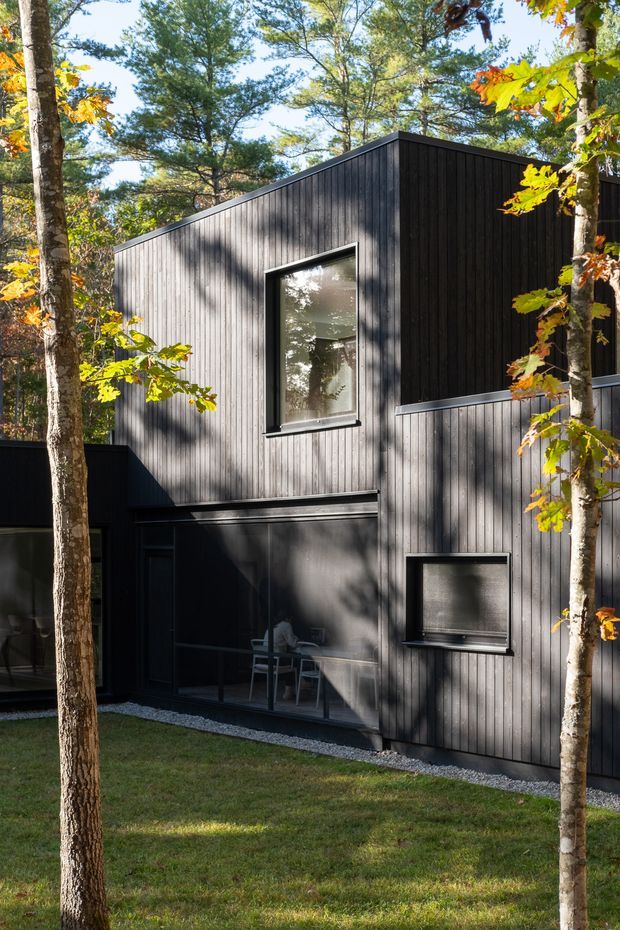 A modern two-storey house set among mature trees, featuring a sharply angled pitched roof and dark vertical timber cladding. The facade combines large black-framed windows with a glazed ground-floor living area, while a gravel strip and lawn border the building. Autumn foliage and strong dappled sunlight create a natural woodland setting.