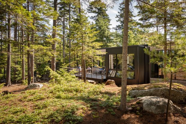 A compact modern cabin-style house nestled among dense woodland, viewed from the forest floor. The dark vertically clad building has a simple flat or very low-pitched roof, extensive floor-to-ceiling glazing, and a timber deck with outdoor seating. Large natural boulders, mature trees, moss, and low forest vegetation surround the structure.