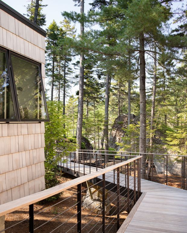 Exterior view of a compact timber-clad building set within a dense forest, featuring large dark-framed windows and an elevated timber deck or walkway with slim black metal cable-style railings. The image emphasizes the connection between the architecture and the surrounding wooded landscape, with a bright natural setting and contemporary detailing.