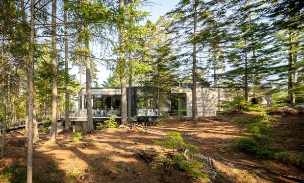 A low, modern house nestled among mature trees in a forested setting. The building has a restrained rectangular form, extensive dark-framed glazing, pale masonry or stone walls, and a partially visible flat or very low-pitched roof. A timber-toned deck and broad glazed openings connect the interior to the wooded landscape.