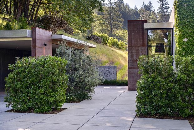 A landscaped contemporary residential entry courtyard with large square concrete pavers, clipped shrubs, silvery ornamental planting, and a striking timber-clad portal framing a glazed entry. The low flat-roofed building has deep overhangs and dark recessed openings, set into a wooded, sloping site. The composition is modern and serene, with strong geometric lines contrasted against dense greenery.