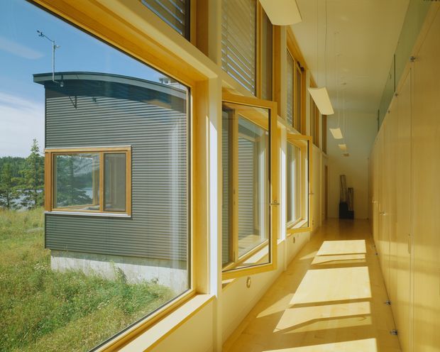 A bright, elongated interior corridor lined with large timber-framed windows and clerestory glazing on one side, overlooking a modern curved metal-clad building and landscaped surroundings. Built-in cabinetry runs along the opposite wall, while rectangular ceiling light fixtures and strong sunlight create a warm, rhythmic passage. The space has clean contemporary detailing and a timber-toned finish palette.