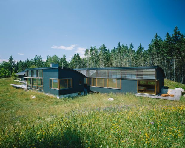 Exterior view of a low-profile contemporary house set in a natural meadow and surrounded by dense evergreen forest. The building has dark blue-grey horizontal cladding, extensive timber-framed glazing, and a distinctive curved or gently arched roofline with screened clerestory-like glazing along the upper facade. A small deck and outdoor seating area extend from the home.