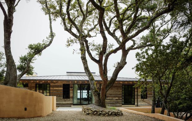 Single-storey contemporary dwelling set among mature trees, viewed from a landscaped exterior. The low horizontal building has weathered timber cladding, a standing-seam metal roof, extensive dark-framed glazing and doors, and a curved rendered boundary wall. Gravel landscaping, natural stone edging, and established trees reinforce an understated nature-integrated design.