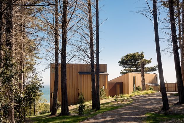 A modern timber-clad house nestled among tall trees on a wooded, sloping site. The low, rectilinear building has warm vertical wood siding, dark-framed windows and doors, and connected pavilion-like volumes. A gravel driveway or path leads through landscaped ground cover, with glimpses of open blue water or sky beyond the trees.