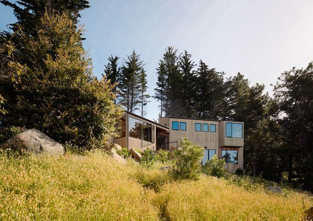 Exterior view of a modern, angular multi-level house set into a sloping, wooded landscape. The building features muted vertical cladding, large rectangular blue-tinted windows, projecting box-like volumes, and a low-pitched roofline, partly screened by mature trees and tall grasses.