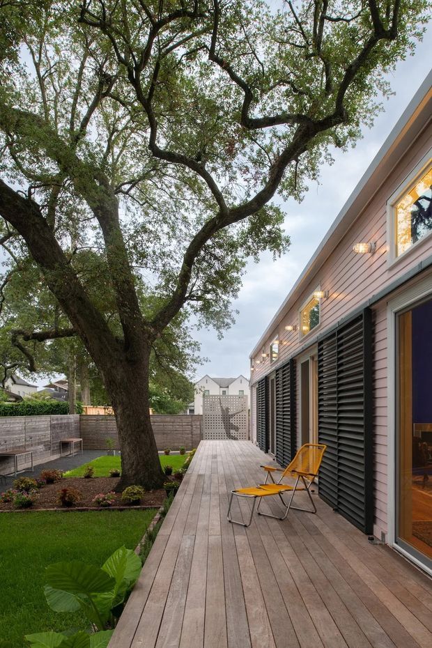 A landscaped residential courtyard viewed from a timber deck beside a long, low contemporary building. The deck has warm timber boards, black louvred screens, large glazed doors and windows, and pale horizontal cladding with exterior wall lights. Bright yellow outdoor chairs sit near the glazing. A mature broad-canopy tree, lawn, planted garden beds, timber fencing, and a perforated privacy screen define the outdoor setting.
