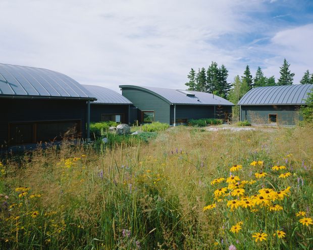 Exterior view of a contemporary cluster of dark-clad buildings with distinctive curved standing-seam metal roofs, set within a natural meadow landscape. Several connected or closely grouped structures are visible, with mature trees behind and wildflowers in the foreground.
