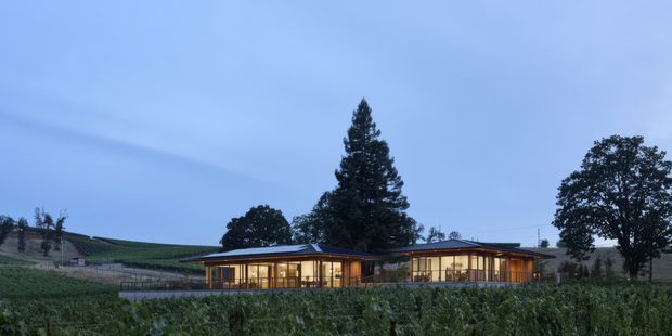 Low, single-storey contemporary building with broad glazed walls and warm interior lighting, set within cultivated vineyard rows on a gently sloping rural site. The building has a shallow low-pitched or flat roof and horizontal timber-toned architectural elements, with mature trees and agricultural landscape surrounding it at dusk.