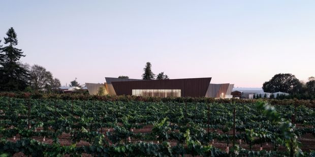A low, contemporary building set behind cultivated vineyard rows, with a strongly sculptural dark angular roof and facade, warm-toned side walls, and extensive horizontal glazing. Mature trees frame the property, with a distant water or horizon view visible to the right. The image is a wide exterior architectural photograph taken from the landscape.