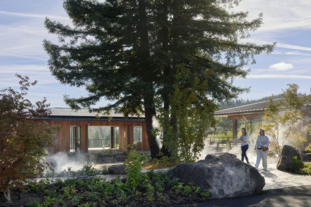 Exterior view of a landscaped garden courtyard with a large mature tree, substantial natural boulders, low planting, and shallow water or mist features. A low modern building with warm timber-toned cladding and extensive glazing sits to the left, while a covered walkway or pavilion with a shallow grey roof is visible to the right. Two people are present for scale.